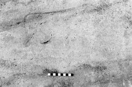 NMSA 03 4977P