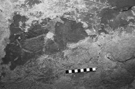 NMSA 03 8285P