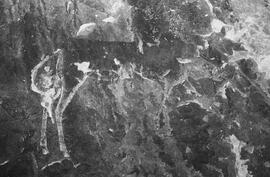 NMSA 03 8398P