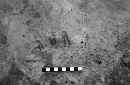 NMSA 03 4280P