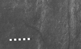 NMSA 03 2472P