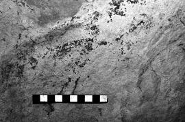 NMSA 03 4116P