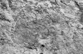 NMSA 03 7796P