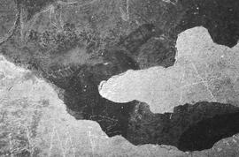 NMSA 03 7442P