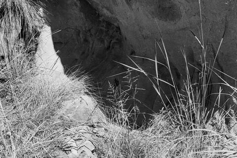 Open original Digitaal object