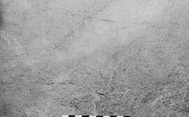 NMSA 03 6388P