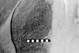 NMSA 03 2969P