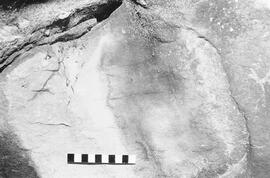 NMSA 03 1264P