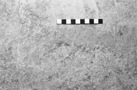NMSA 03 1926P