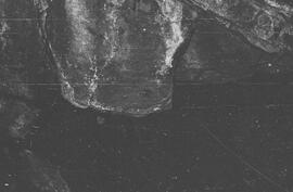NMSA 03 2258P