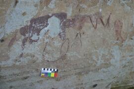 NMSA RSA SNW1 31D