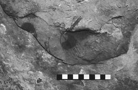 NMSA 03 5310P