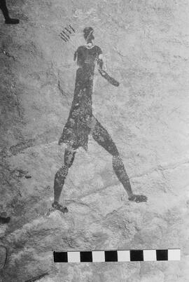 NMSA 03 5349P