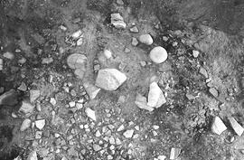 NMSA 03 711P