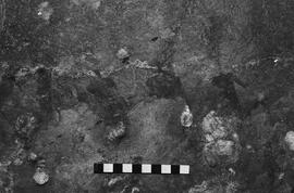 NMSA 03 6098P