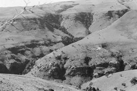 NMSA 03 2246P