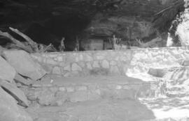 NMSA 03 8836P