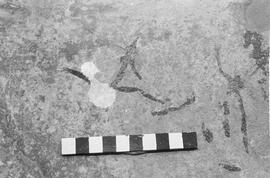 NMSA 03 1406P