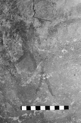 NMSA 03 5320P