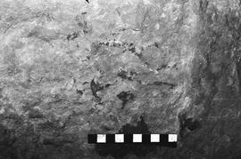 NMSA 03 4538P