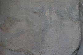 NMSA RSA GEO2 37D
