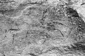NMSA 03 443P