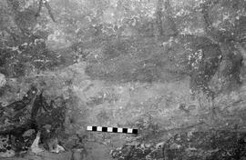 NMSA 03 5329P