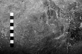 NMSA 03 3077P
