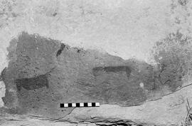 NMSA 03 5779P