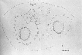 NMSA 03 8082P