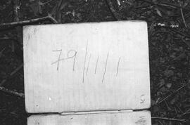 NMSA 03 3976P
