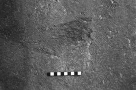 NMSA 03 2740P