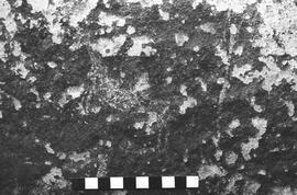 NMSA 03 6265P