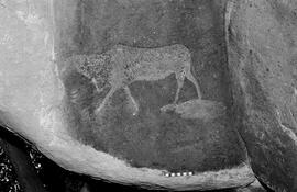 NMSA 03 5773P