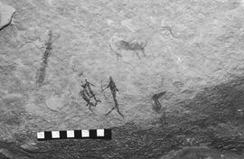 NMSA 03 4225P