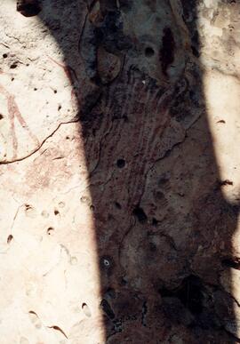 NMSA 02 51P