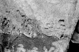 NMSA 03 3267P