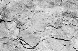NMSA 03 7906P