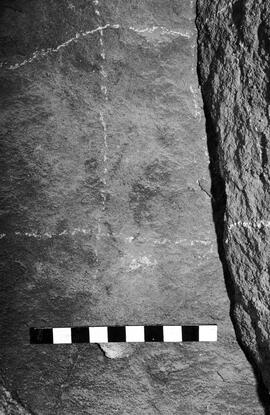 NMSA 03 6494P