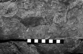 NMSA 03 3402P