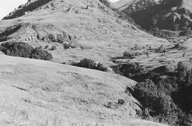 NMSA 03 1911P