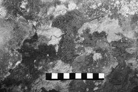 NMSA 03 4565P
