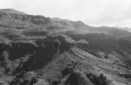 NMSA 03 2007P