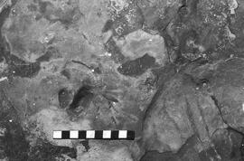 NMSA 03 5066P