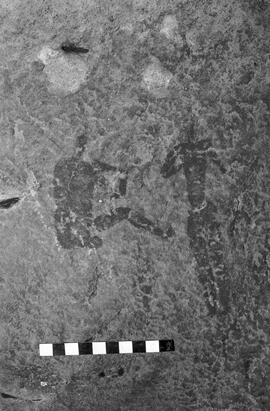 NMSA 03 6111P