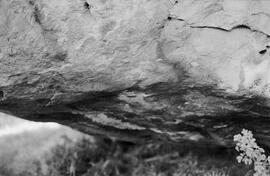 NMSA 03 5636P