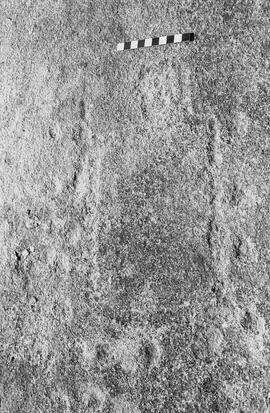 NMSA 03 7635P