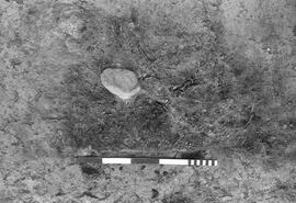 NMSA 03 8054P
