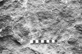 NMSA 03 1714P