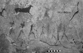 NMSA 03 5355P